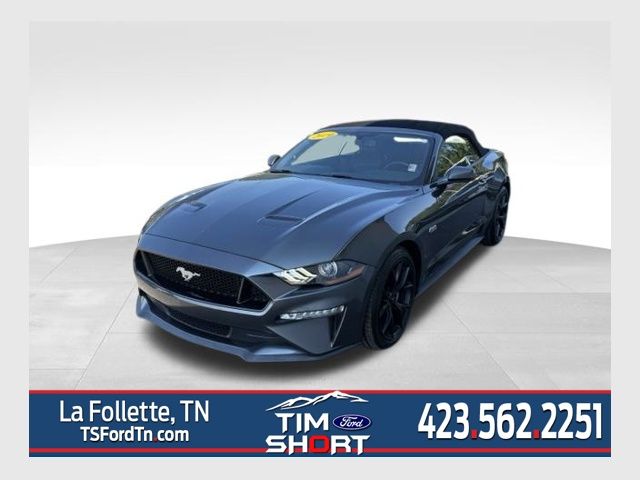 Gray (Magnetic Metallic) 2019 Ford Mustang Convertible Rear-Wheel Drive Automatic