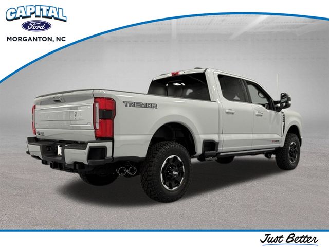 New 2026 White Ford Platinum image 8