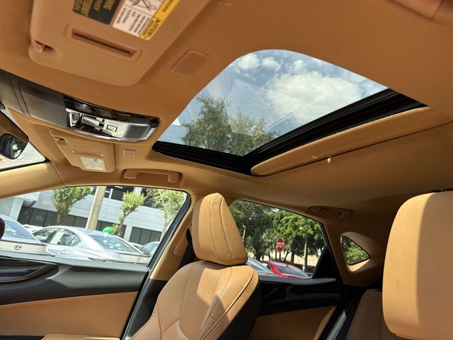 Used 2024 Lexus NX SUV