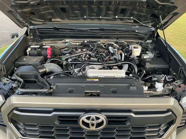 Used 2025 Toyota Tacoma Truck