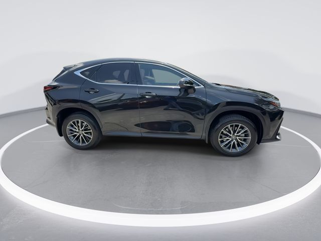 Used 2025 Lexus NX SUV