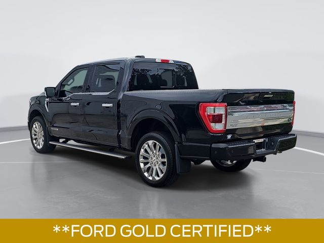 Used 2023 Black Ford Limited image 5