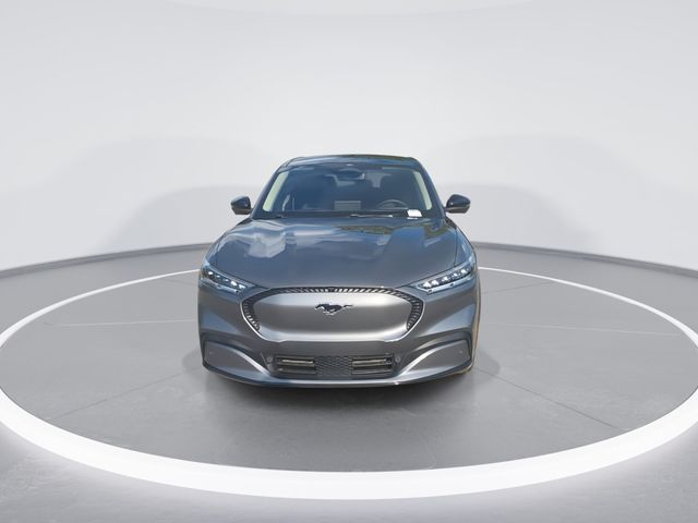 Used 2023 Carbonized Gray Metallic Ford California Route 1 image 2