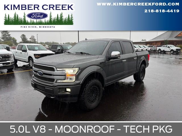 Gray (Magnetic Metallic) 2019 Ford F-150 Pickup Truck Four-Wheel Drive Automatic