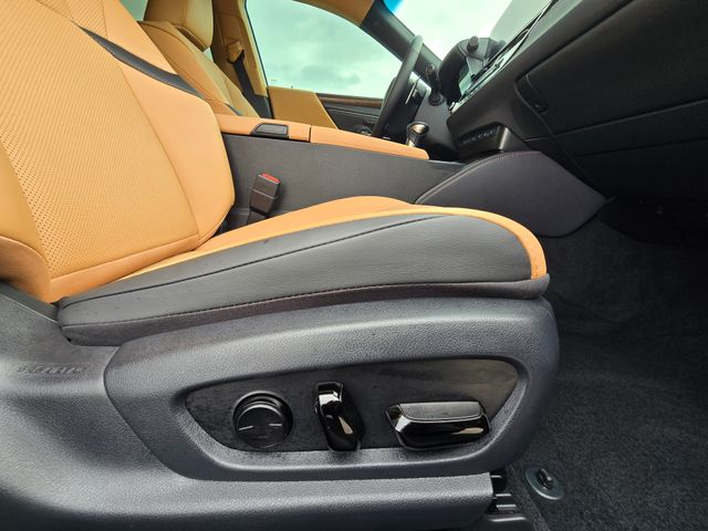 2025 Lexus ES 350:44446A1