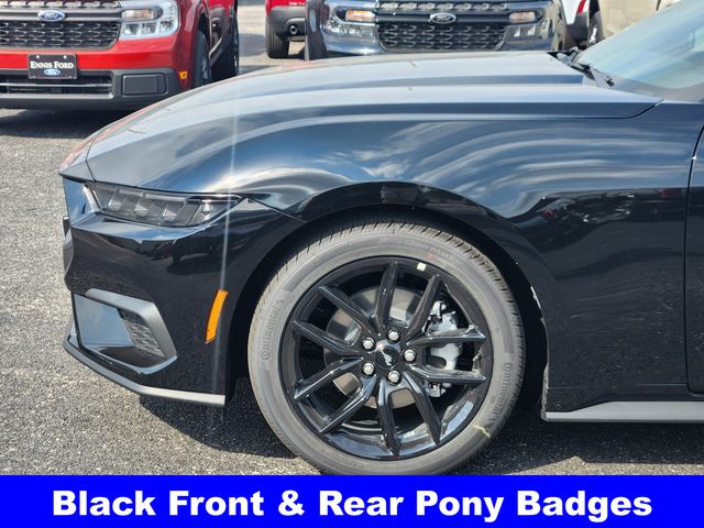 2025 Ford Mustang EcoBoost photo