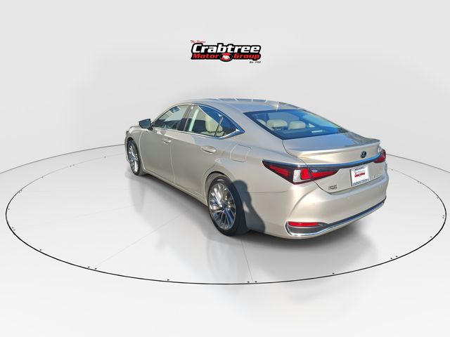 Used 2021 Lexus ES Sedan
