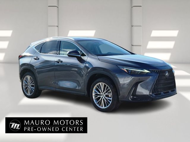 2025 Lexus NX 350 Luxury AWD
