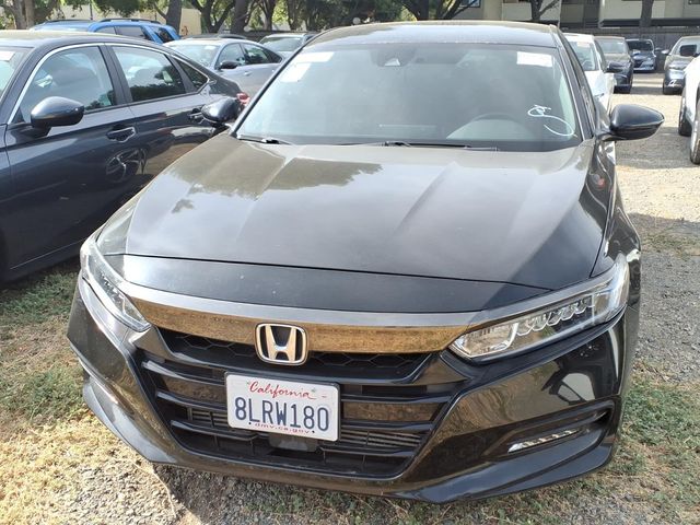Used 2019 Honda Accord Sedan