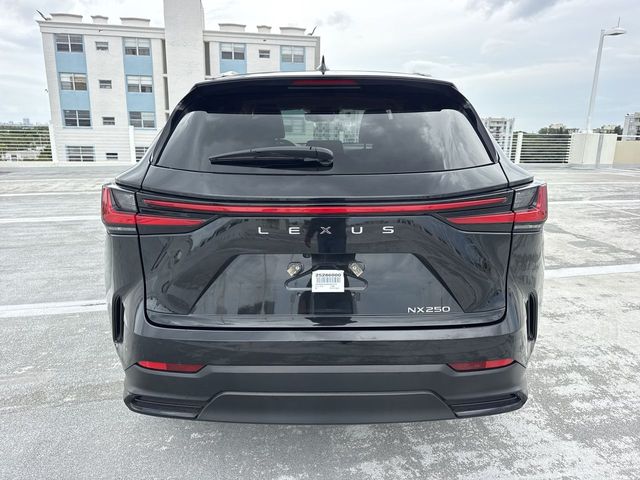 2025 Lexus NX - $41,998