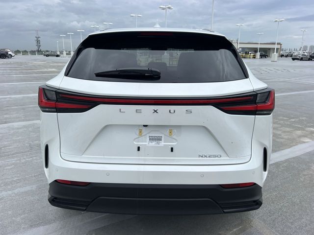 Used 2025 Lexus NX SUV