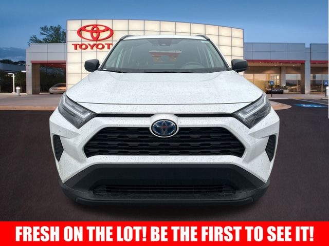 2024 Toyota RAV4 Hybrid LE 2