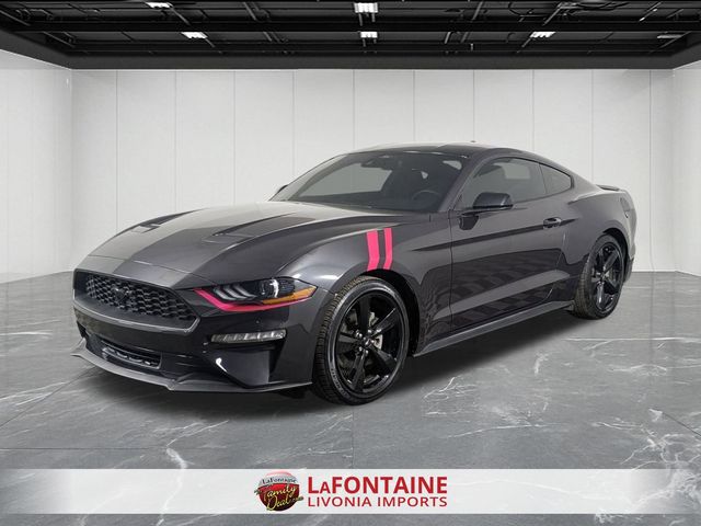 2022 Ford Mustang EcoBoost