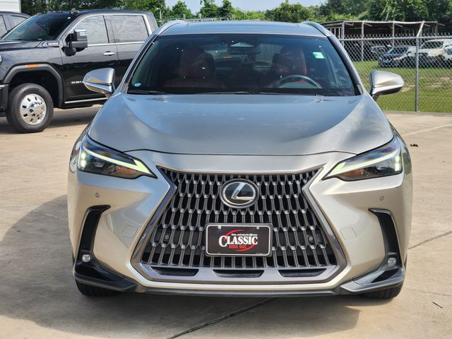 2024 Lexus NX 250 Premium - 1