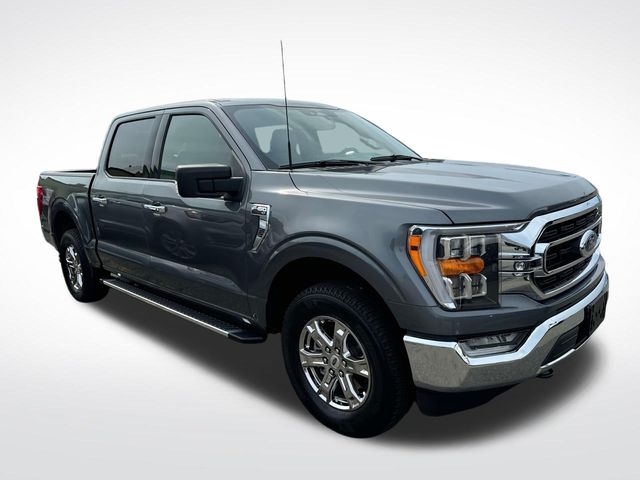 2023 Ford F-150 XLT 3