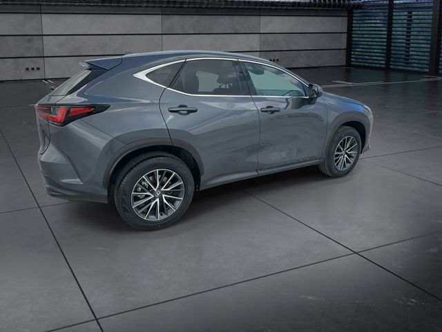 Used 2025 Lexus NX SUV