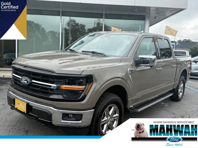 Gray 2025 Ford F-150 Pickup Truck Four-Wheel Drive Automatic