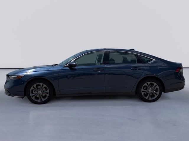2024 Honda Accord #6