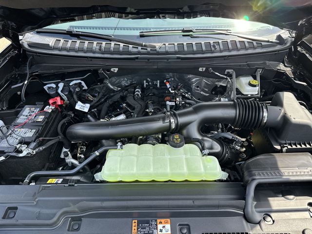 New 2026 Black Ford Platinum image 20