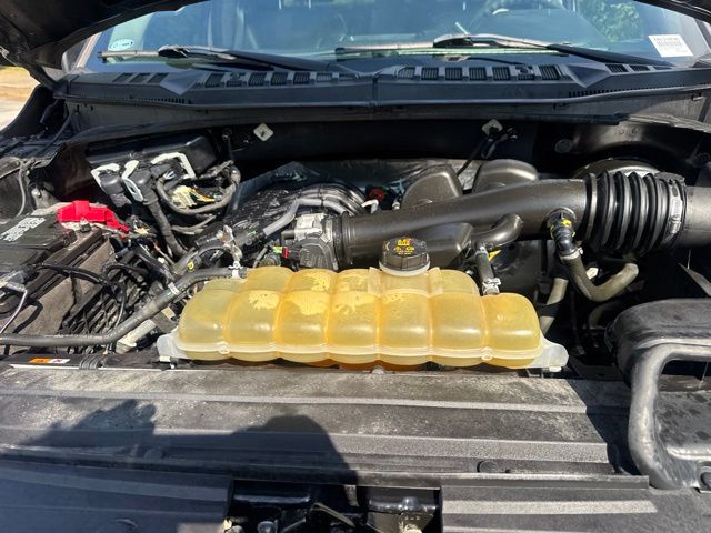 Used 2019 Ford F-150 Truck