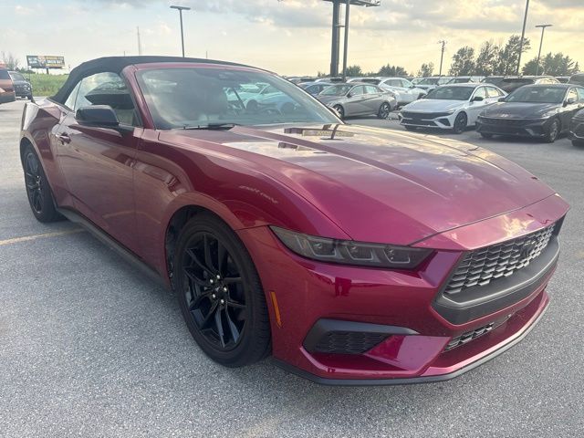 Pink (Magenta) 2025 Ford Mustang Convertible Rear-Wheel Drive Automatic