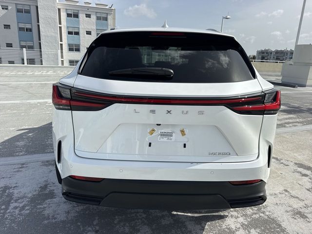 Used 2025 Lexus NX SUV
