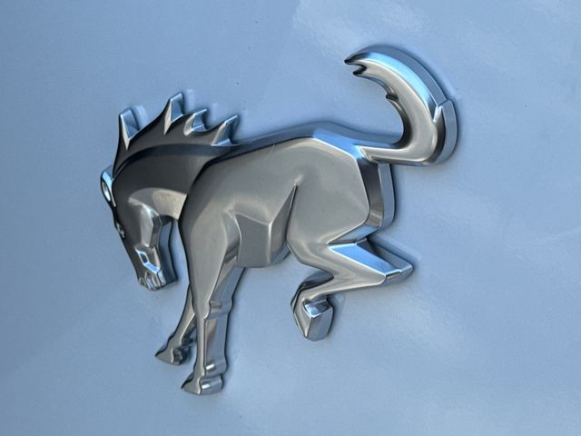 New 2025 White Ford Outer Banks image 11