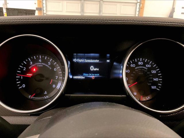 2019 Ford Mustang GT Gray at Grove City Ford