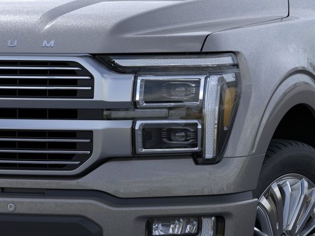 New 2026 Gray Ford Platinum image 18