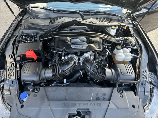 Certified Used 2025 Black Ford GT Premium image 19