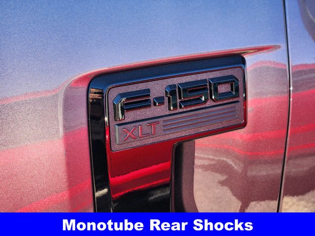 2025 Ford F-150 XLT photo