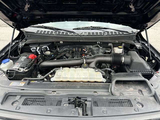 Certified Used 2024 Black Ford XLT image 19