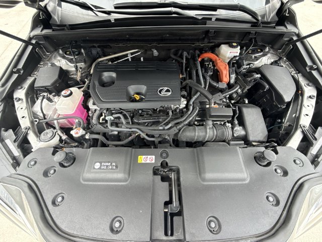 Used 2024 Lexus NX SUV