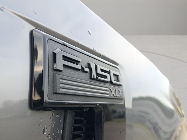 2024 Ford F-150 XLT - Photo 19