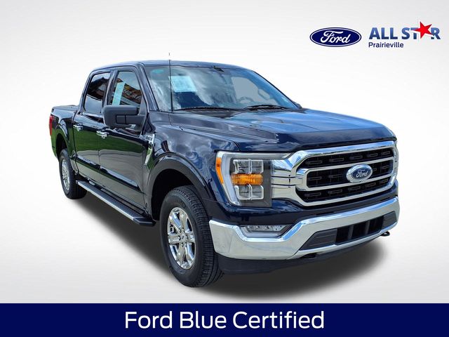 Blue Metallic 2023 Ford F-150 Pickup Truck Four-Wheel Drive Automatic
