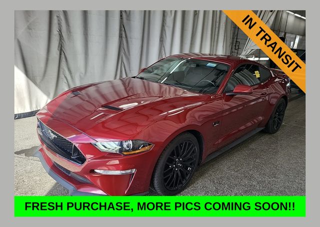 2019 Ford Mustang GT Coupe RWD