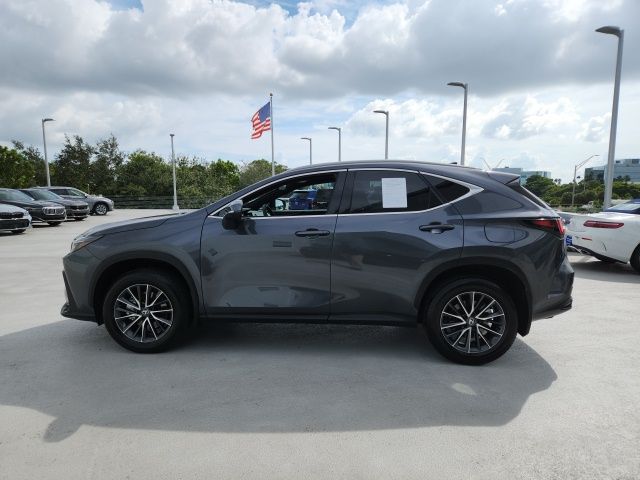 2024 Lexus NX 250 Base 12