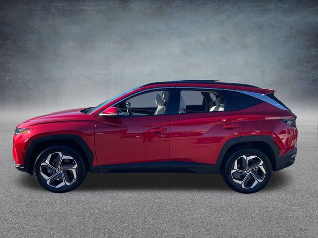 2023 Hyundai Tucson Limited 11