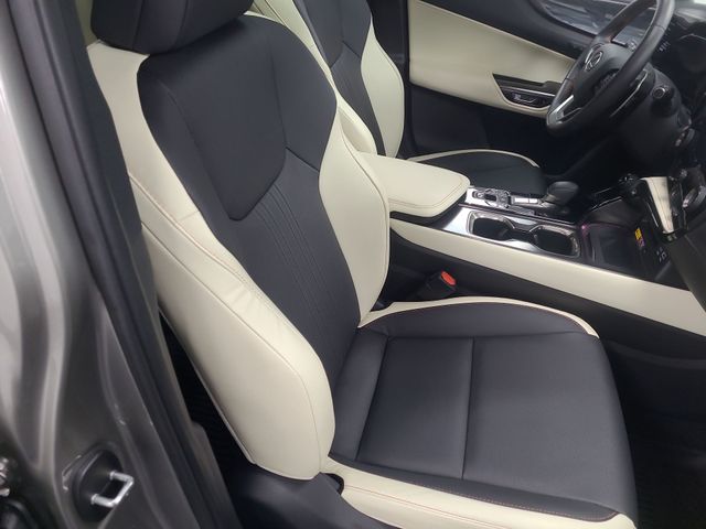 2024 – Lexus – NX