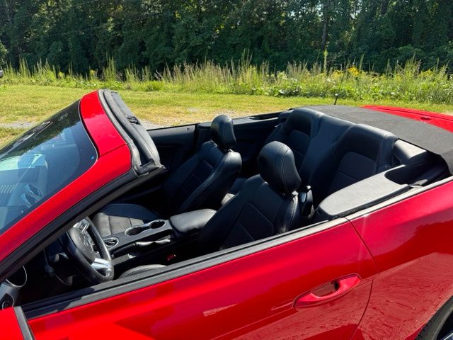 Used 2022 Red Ford EcoBoost Premium image 12