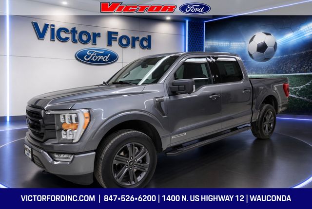 Gray Metallic 2023 Ford F-150 Pickup Truck Four-Wheel Drive Automatic