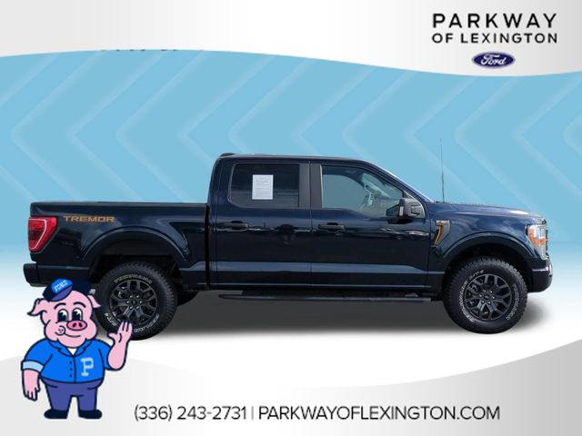 Used 2022 Blue Ford Tremor image 6