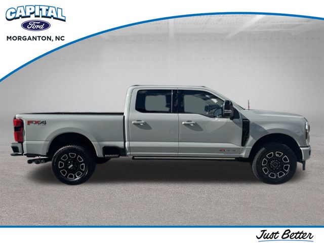 New 2026 White Ford Platinum image 9