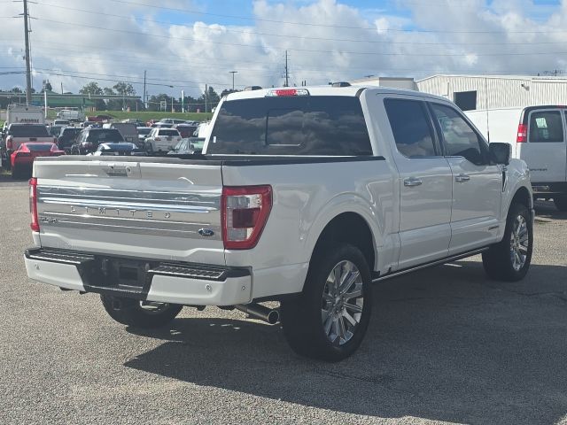 Photo of 2023 Ford F-150 Limited in Dallas, GA - 5,  2023 Ford F-150 Limited:167473A