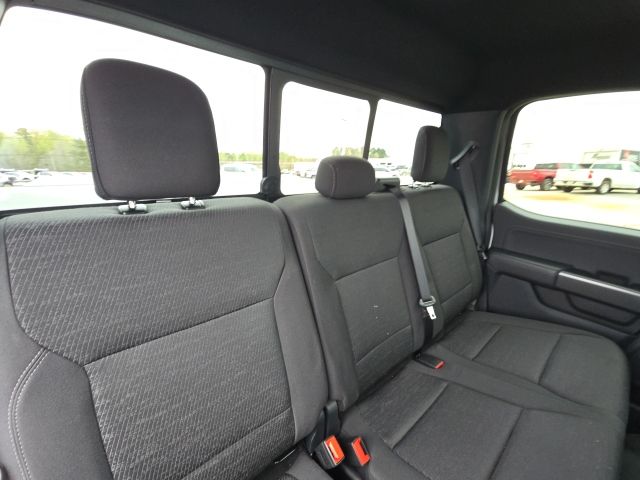 2024 Ford F-150 XLT:168393B1