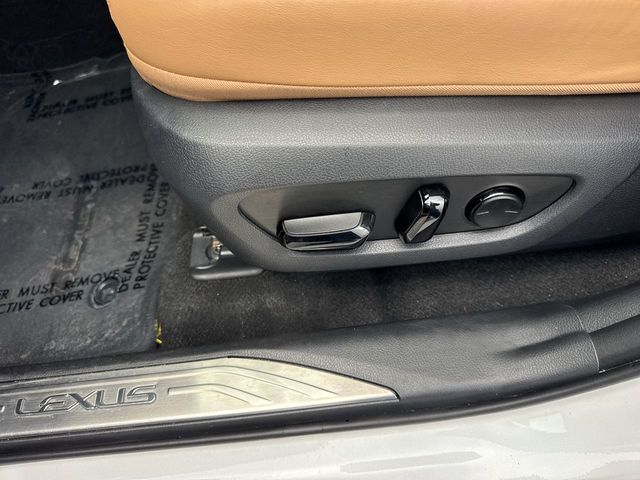 2025 Lexus NX - $39,988