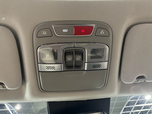 2024 Kia Telluride SX Green at Matthews Motors of Wilmington