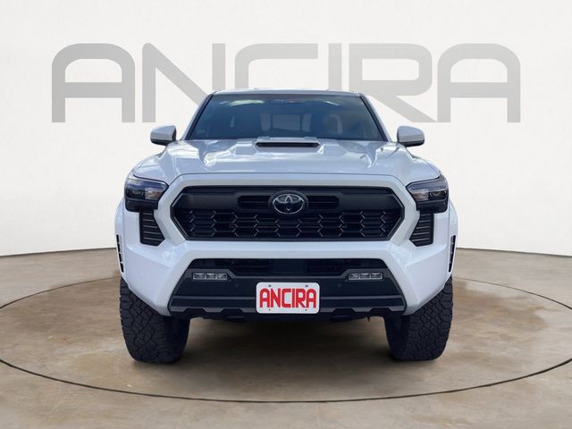 Used Car 2025 Toyota Tacoma Hybrid  Trd Sport For Sale Under $50,000 In San Antonio, Texas