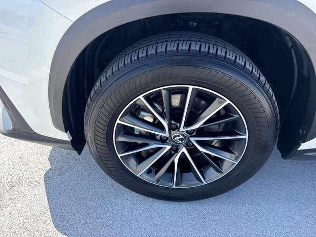 2025 Lexus NX - $47,998