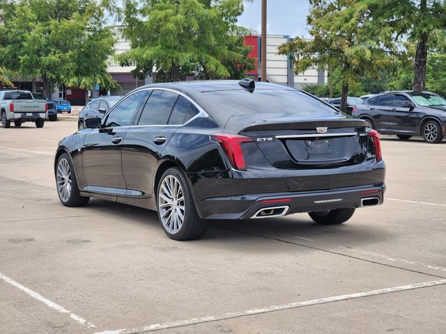 car-gallery-7